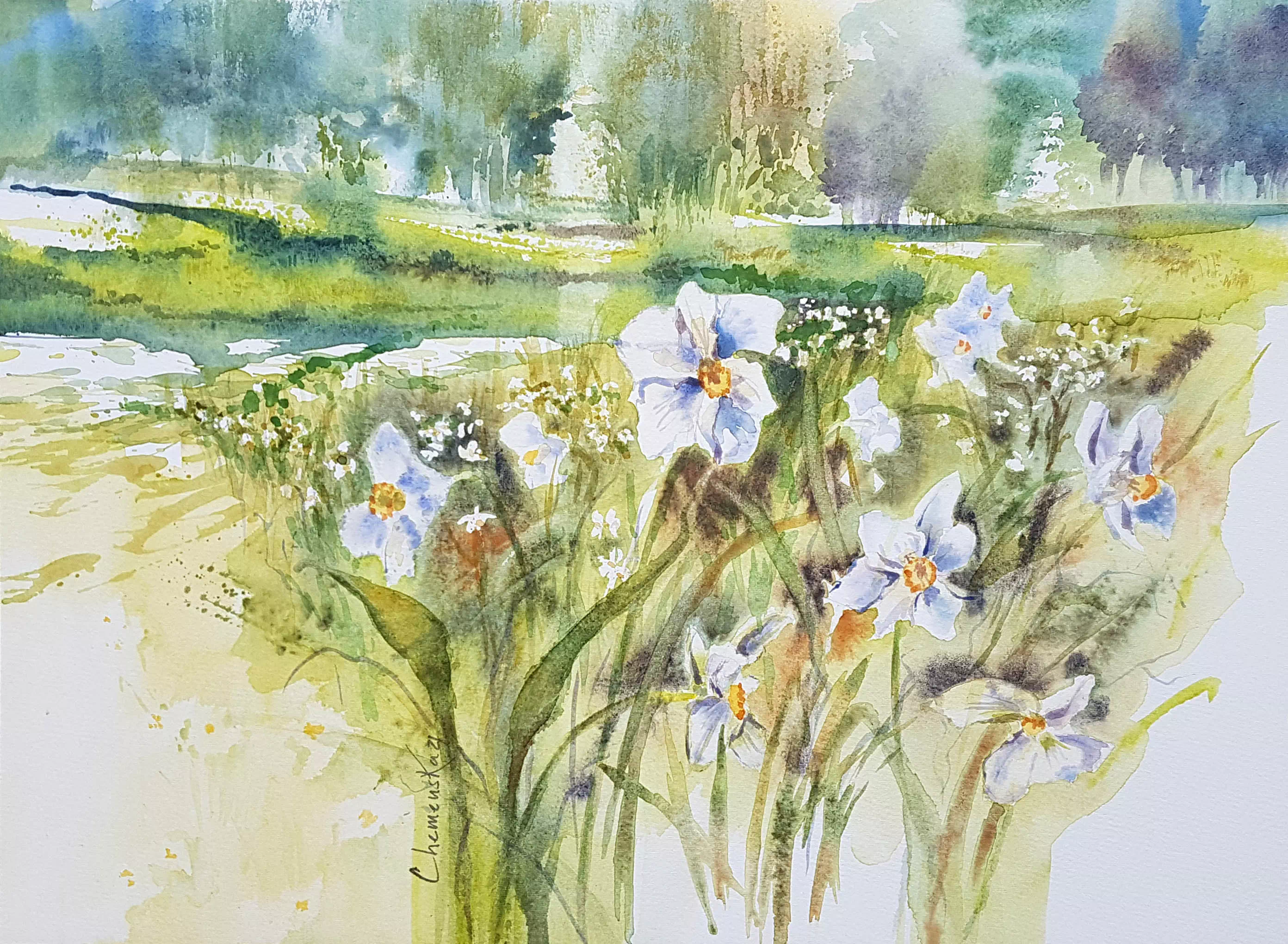 Image accès thème flore
